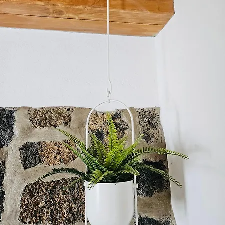 Casa Celi Apartmán *